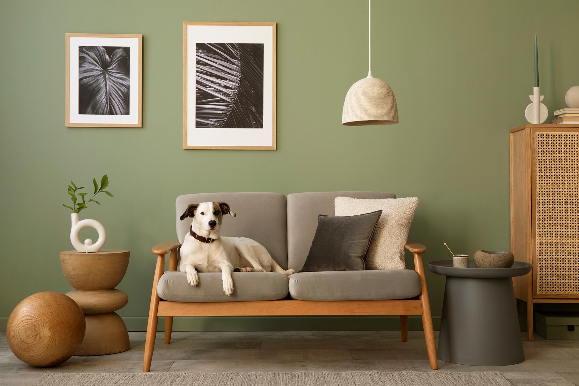 elegant-composition-of-living-room-interior-2022-12-07-04-24-32-utc.jpg